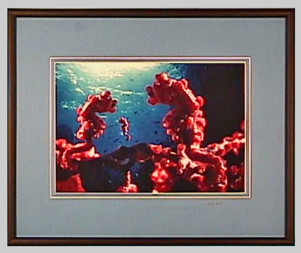 UW Images - 1st swim